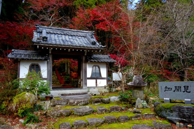 卍永明山 延寿寺｜滋賀県彦根市 八百万の神