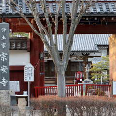 投稿日:2021年3月17日 写真