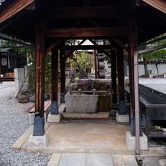 投稿日:2021年9月26日 写真