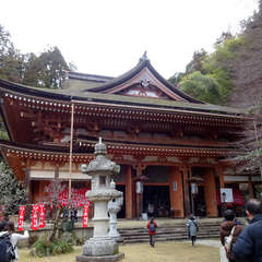 投稿日:2022年3月19日 写真