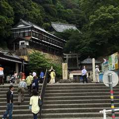 投稿日:2016年6月10日 写真