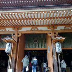 投稿日:2022年3月19日 写真