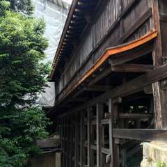 投稿日:2016年6月10日 写真