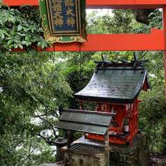 投稿日:2020年6月13日 写真