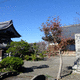 善林寺
