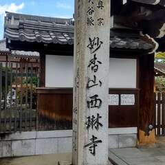 出張にて(投稿日:2025年12月14日) 写真