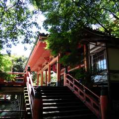 投稿日:2018年6月24日 写真