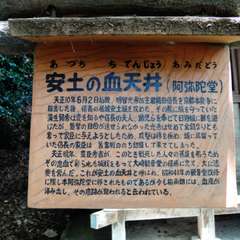 投稿日:2018年6月24日 写真