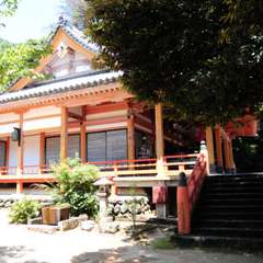 投稿日:2018年6月24日 写真