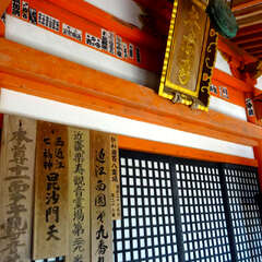 投稿日:2025年10月13日 写真