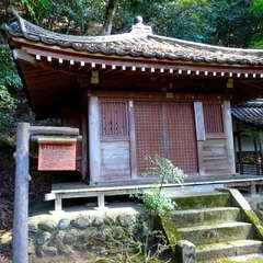 投稿日:2025年10月13日 写真