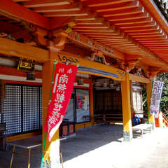 投稿日:2025年3月9日 写真