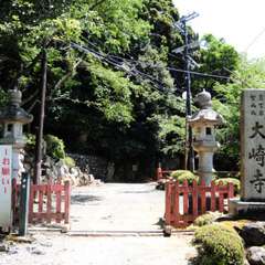 投稿日:2018年6月24日 写真
