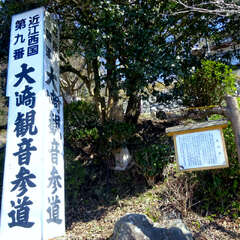 投稿日:2025年3月9日 写真