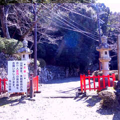 投稿日:2025年3月9日 写真