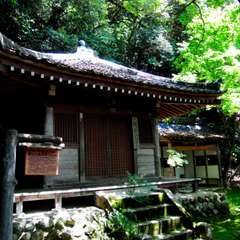 投稿日:2018年6月24日 写真