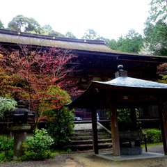 投稿日:2021年4月18日 写真