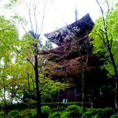 投稿日:2021年4月18日 写真