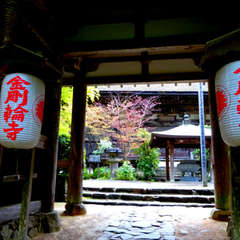 投稿日:2021年4月18日 写真