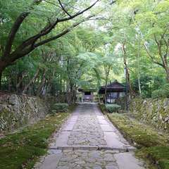 投稿日:2023年8月4日 写真