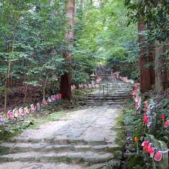 投稿日:2023年8月4日 写真