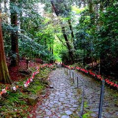 投稿日:2021年4月18日 写真