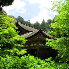 投稿日:2019年4月16日 写真