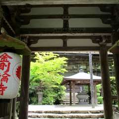 投稿日:2019年4月16日 写真