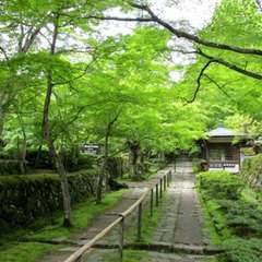 投稿日:2019年4月16日 写真