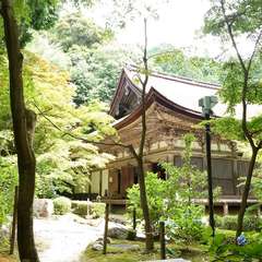 投稿日:2023年8月4日 写真