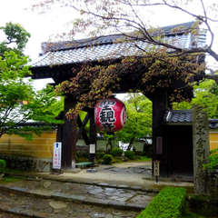 投稿日:2021年4月18日 写真