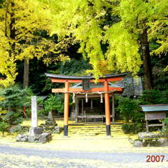 岩戸落葉神社(投稿日:2025年10月26日) 写真