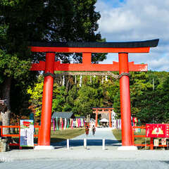 投稿日:2025年2月1日 写真