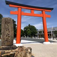 投稿日:2023年5月12日 写真