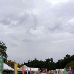 投稿日:2023年10月17日 写真