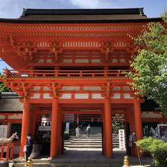 投稿日:2023年5月12日 写真