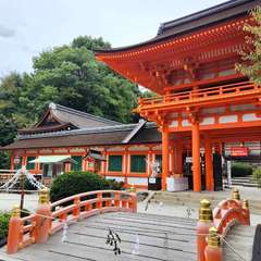 投稿日:2024年12月10日 写真