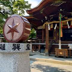 投稿日:2025年6月17日 写真