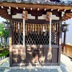 投稿日:2025年6月17日 写真