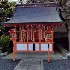 投稿日:2025年6月17日 写真