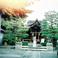 大将軍八神社(投稿日:2025年8月22日) 写真