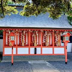 投稿日:2025年6月17日 写真