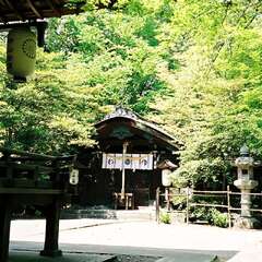 梨木神社(投稿日:2025年10月13日) 写真