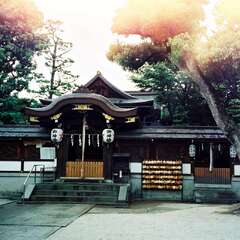 晴明神社(投稿日:2025年8月22日) 写真