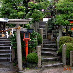 首途八幡宮(投稿日:2025年8月4日) 写真