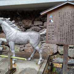 投稿日:2023年1月2日 写真