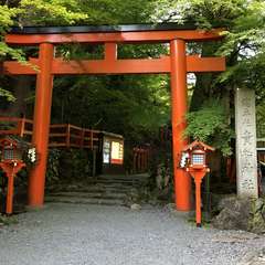 投稿日:2023年5月12日 写真
