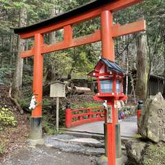 投稿日:2023年12月10日 写真