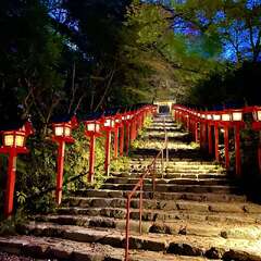 貴船神社(投稿日:2025年12月1日) 写真