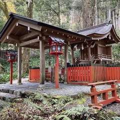 投稿日:2023年12月10日 写真